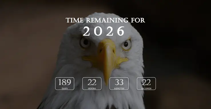 Time Remaining in New Year project preview